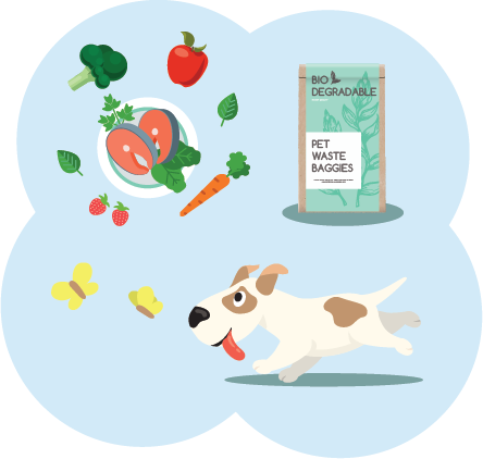 Image of ingredients for homemade salmon dog food, sustainable and eco-friendly pet products, and a puppy chasing butterflies in dog videos.