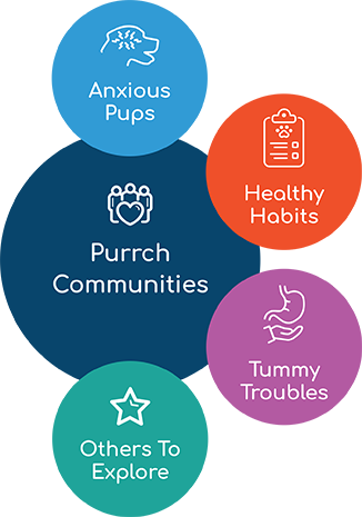Join purrch communities - Anxious Pups for dogs with anxiety - Health Habbits for dog and cat fitness and nutrition - Tummy Troubles for dogs strugging with digestive issues, diarrhea, and vomiting.