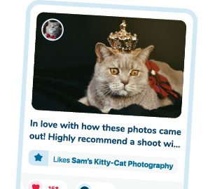 Example of a cat showing in a photo from a good local pet photographer.
