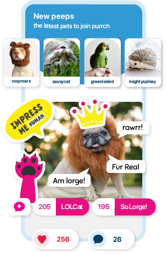 Discover and iteract with all kinds of pets, any dog breeds, share, discover, learn and become a better pet parent.